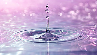 ƽo˹ؠLavender