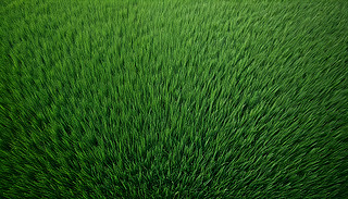 (dng)Ĳ~(du)һ(g)ڰı