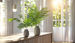 |(zh)ľƲ;߹σ(yu)ŵ˹