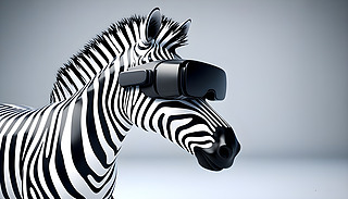 Zebra˹̽̓MF(xin)(sh)Α