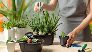 (chung)һͥGһŮ˵҃(ni)@ˇ֮ú