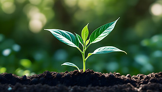 ֵĺڰL(zhng)MľGɫѿwF(xin)