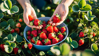 ɳm(x)ݮի@r(nng)ܴȻĶn