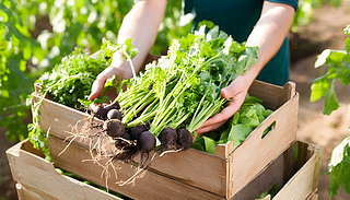 옷r(nng)ľչʾrի@ЙC(j)߲