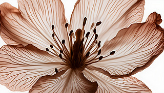 @@،(x)(ji)оµķۼtɫѻ