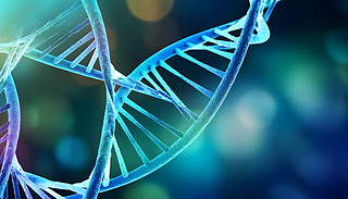 {ɫ;GɫDNA朵ďs،ģıͻ