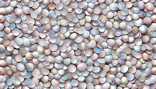 ĵϠĸĹRِ˄(chung)ʺɫ