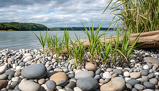 oİĦh(hun)РI쌎oķՇ׌ğ