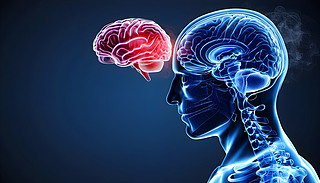 X(du)ߺͼͥӰ푺Ͷ(zhng)