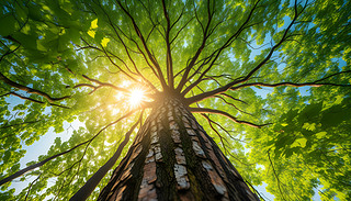 ͨ^(gu)IFSͯ(ni)Ą(chung)M(jn)(g)˳L(zhng)