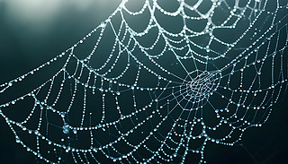 ص֩W(wng)bWWl(f)ˮı