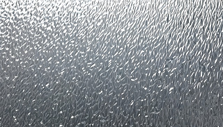 ˮθڴϵČoɫ͵Ĺ⾀I