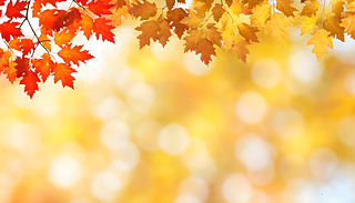 C(j)~ڌoһŘľչF(xin)tɫ