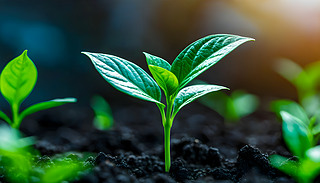 ĳF(xin)һGɫֲͻƺڰ