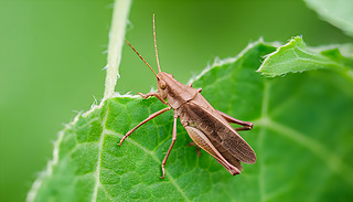 һֻ엫Ϣ[[ľGϵĺ^ҕD