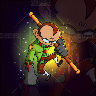 ӺR