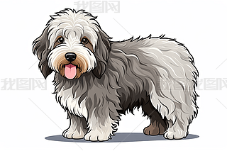 һֻë׵ĹվڰɫĿͨDDƬ