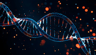 l(f)DNAY(ji)(gu)аl(f)Ӻͺڰµ