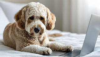 ȮʹùPӛXھʳƷӆُ(gu)̽g(sh)