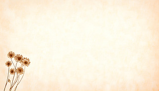 ˵ď(f)űyɫϵĸɻՈR