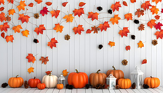 ˵＾TcYһϵгɫͰɫϹڳ