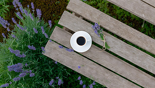 sʢ_Ѭ²ݻ@l(xing)ľ