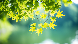 Mė~c(din)Y(sh)֦ģL(fng)