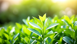 ꖹĵĘľڻ@ѳLwF(xin)˴Ȼ