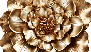 (yu)ŵĽٽO(sh)ӋԪؼ(ji)s