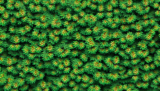 [[ľGɫͽɫ~O(sh)Ӌ`Є(chung)