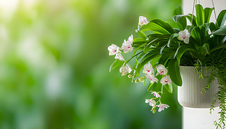 [[ľGɫֲоµķۼtɫ~ӌӯB