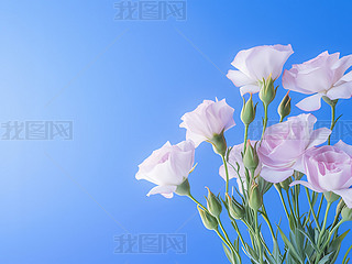۹{챳