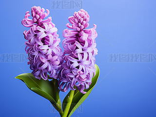 ɫL(fng)ӻ{(ln)ɫ،R^