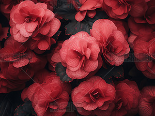 ﺣĻͥԺȻܱɫ{(dio)