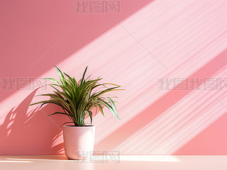 ֲ҃۹޷۲ʷ۱