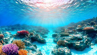 ʽðUڳM̓MˮI(lng)ɫ_