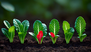 MľGɫͼtɫ[[Ļ@h(hun)