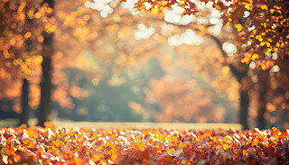 M＾ժҪɫ_Ę~͵(yng)