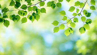 Mɽë~ڌoɭ֭h(hun)չʾ