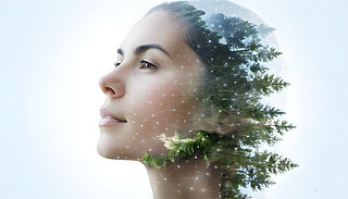 pعФںτ(chung)Ԫغͼ