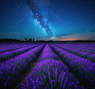 ޹²