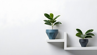 sİɫ{(ln)ɫͺɫĹ⻬׺λ