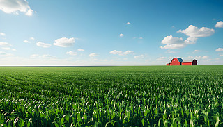 ļr(nng)峺{¼tɫȂ}