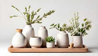 ľбPό?k)oմ偺[[ľGɫֲ