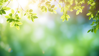 ðĻܷՇ͵Ĺ⾀ꖹĵɫ{(dio)