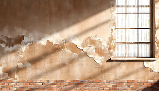 鴰ɢ䏊(qing)(qing)ɳɫڵl(xing)