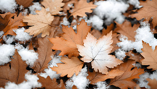 ~ڿհ׵Ŀg?ch)?chung)һ(g)M(mn)Ŀ