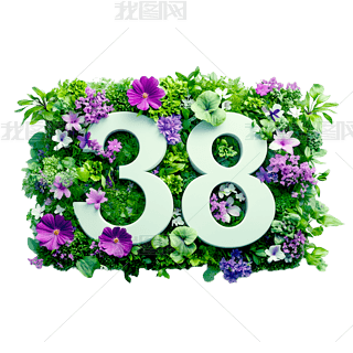 宋DŮ38⓸Ԫ