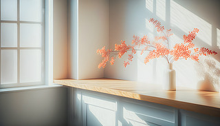 mďN(ni)չʾһľ˵ɢ