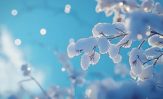 ֦ϵİɫFڡѩzӰ